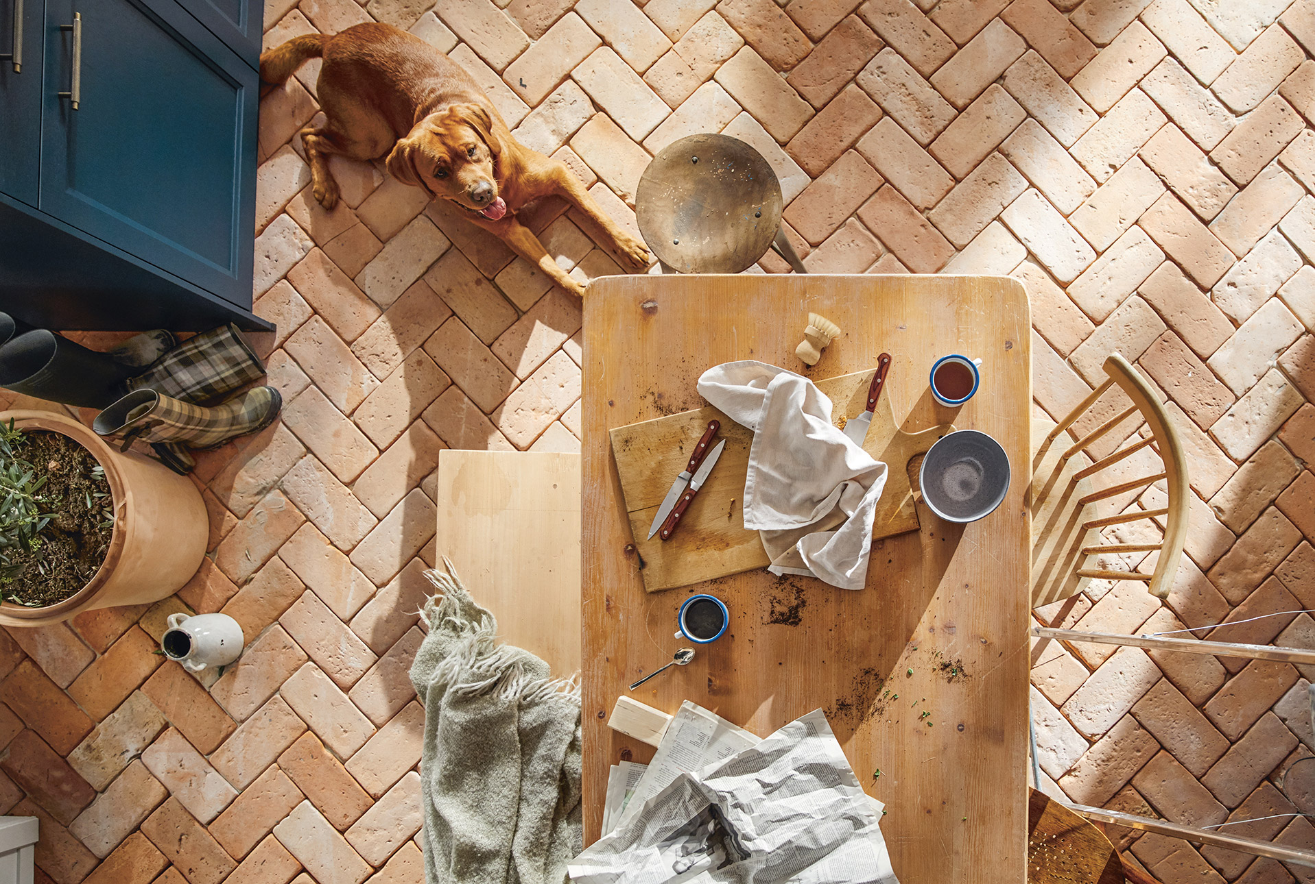 Vogelperspektive&#x20;auf&#x20;einen&#x20;rustikalen&#x20;K&#xFC;chentisch&#x20;mit&#x20;benutztem&#x20;Geschirr,&#x20;Tassen&#x20;und&#x20;K&#xFC;chenutensilien,&#x20;daneben&#x20;ein&#x20;brauner&#x20;Hund&#x20;auf&#x20;einem&#x20;Ziegelboden.